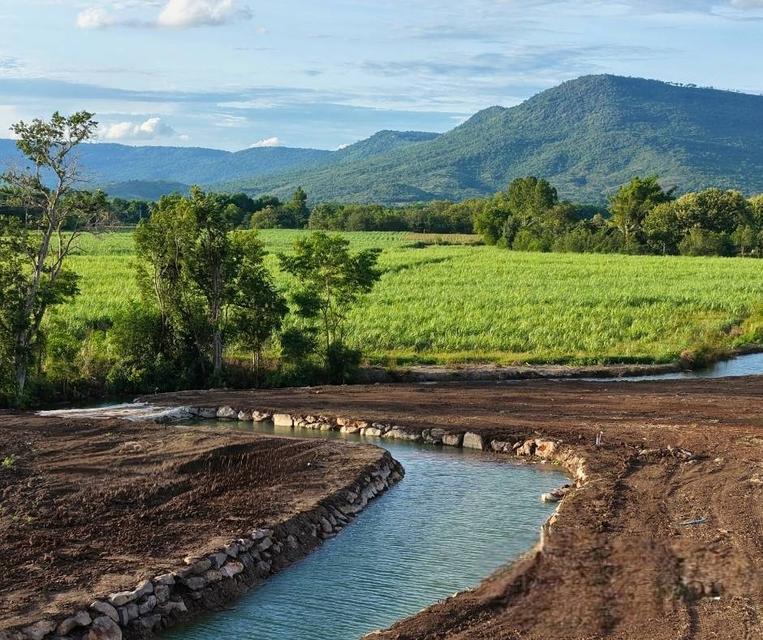 ขายที่ริมน้ำ วิวเขา วังไทร คลองม่วง ปากช่อง ที่ติดน้ำใกล้ภูเขา วิวเขาล้อมรอบ วิวเขายายเที่ยง นครราชสีมา น้ำไฟพร้อม 0879074045 1