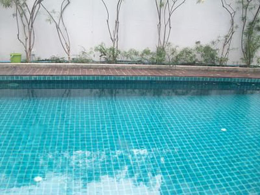 รูป Sale Single Luxury and Modern House 4 storeys with swimming  3