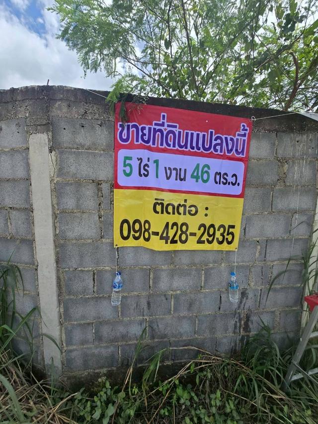 ขายที่ดิน บ้านบึง ชลบุรี 5 ไร่ 1 งาน 46 ตร.ว. ทำเลดี เหมาะลงทุน 8