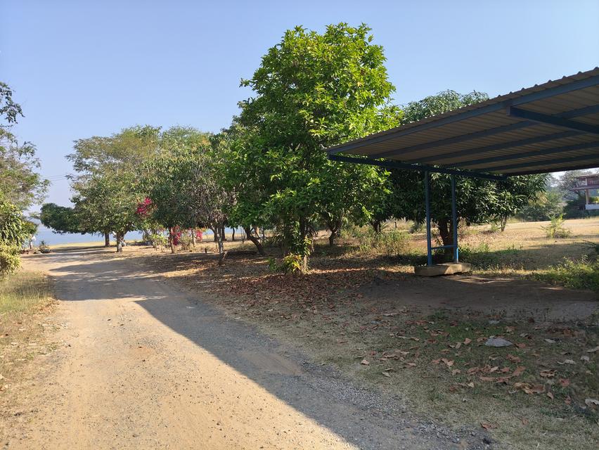 ที่ดินวิวทะเลสาบอ่างเก็บน้ำลำสำลาย 6