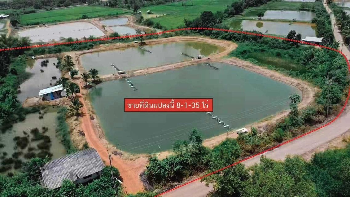 ที่ดิน บางคล้า ฉะเชิงเทรา  6