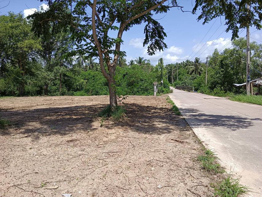 ขายด่วน ที่ดิน ติดทะเล เดินลงหาดได้เลย ตำบลธงชัย ประจวบคีรีขันธ์  2