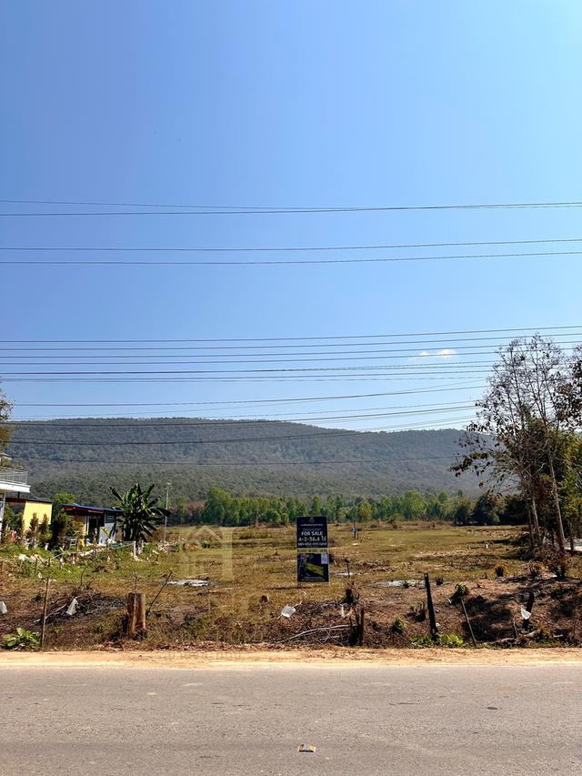 ขายที่ดินวิวภูเขา ตีนเขา โฉนดครุฑแดง ต.เวียงห้าว อ.พาน เชียงราย พื้นที่ 4-2-36.4 ไร่ 7