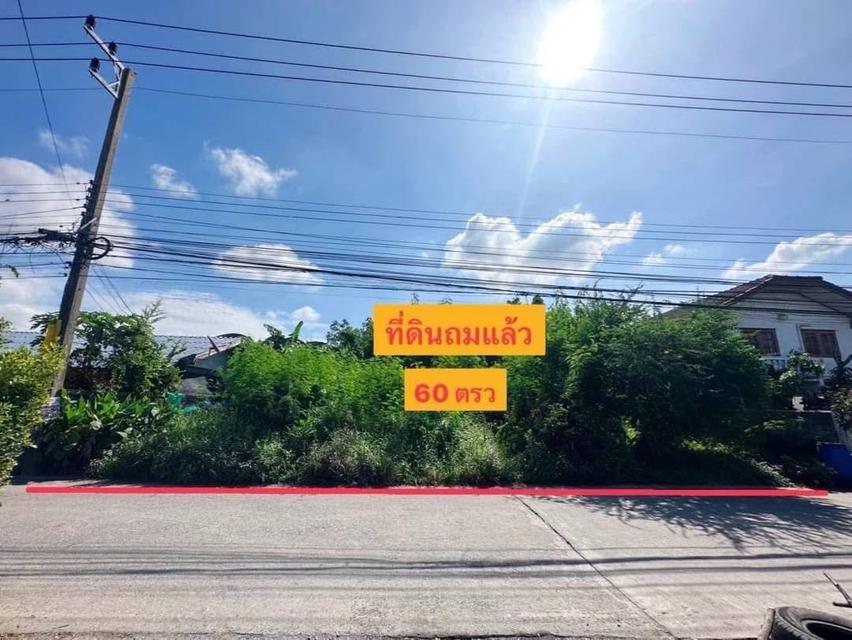 ขายที่ดิน ถนน พระองค์เจ้าสาย ลำลูกกา คลอง 4 ซอย ไสวประชาราษฎร์ 17 3