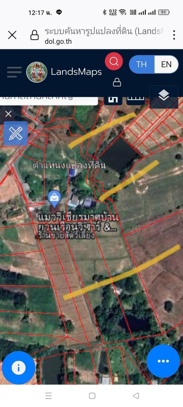 ที่นา พระพุทธฉาย สระบุรี 6