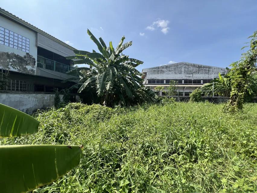 ขาย เช่า ที่ดินเปล่า หมู่บ้านเสรี ลาดพร้าว 101 3