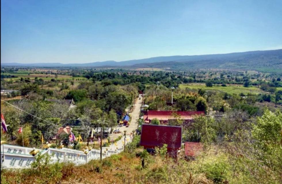 ที่ดิน โคกสำโรง ลพบุรี ขนาด 200 ตร วา 150000 บาท 7