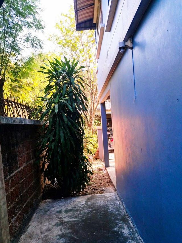 ขาย ทาวน์เฮ้าส์ 2 ชั้น 24 ตรว.หมู่บ้านบุศรินทร์ Land & House ถ.พระยาสุเรนทร์ ซอย 40 แขวงสามวาตะวันตก เขตคลองสามวา กรุงเทพฯ 3