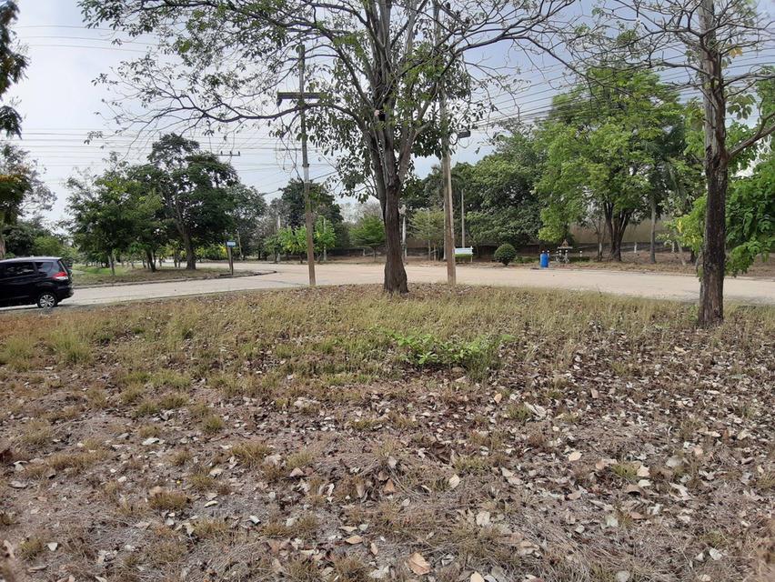 ⛳ เหมาะสำหรับปลูกสร้างบ้าน 🏡ในโครงการหมู่บ้านเดอะลากูน1 อำเภอสามโคก จังหวัดปทุมธานี ติดละเลสาป 6