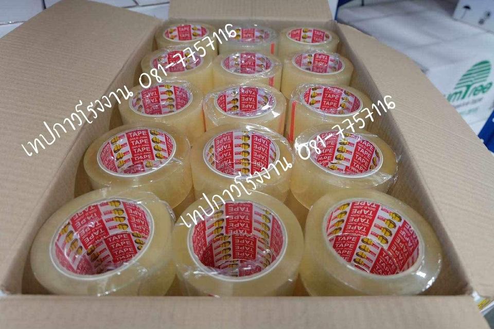 เทปใส 081-7757116 1
