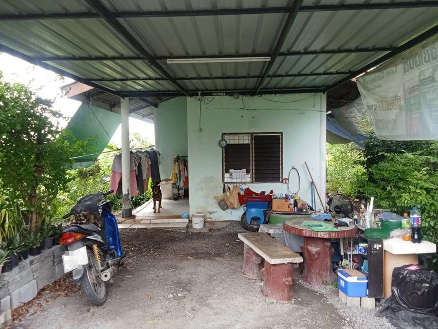 ขายบ้านชั้นเดียว ซอยคลองหกตะวันออก68 4