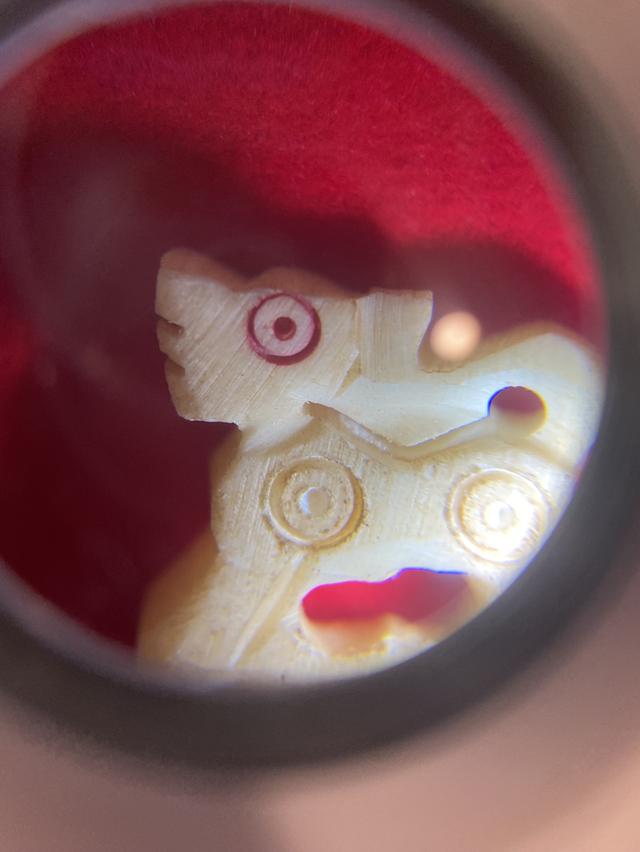 威猛的狮子 5
