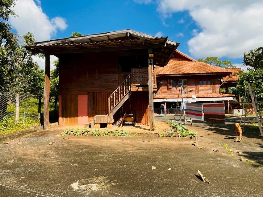 ขายบ้านสวนไม้สักทรงไทย ท่ามกลางธรรมชาติและวิวภูเขาล้อมรอบ 10,000,000 บาท จังหวัดเชียงใหม่ 14