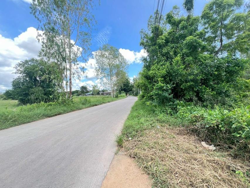 💥ขายที่ดินห้วยใหญ่ พัทยา เหมาะสำหรับลงทุน💥 4