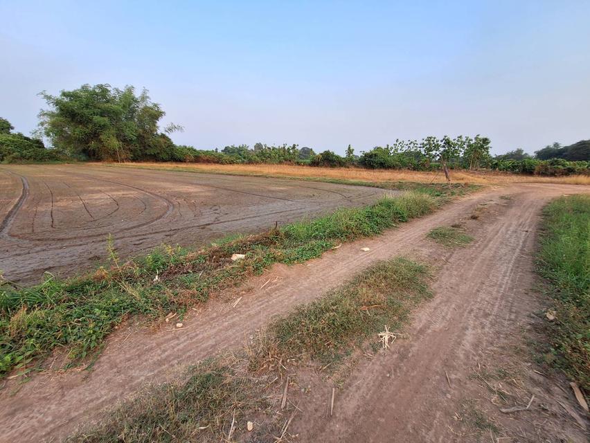 ที่ดินมีทางเข้าออก โฉนดครุฑแดง มีทางเข้าออด เจ้สของขายเอง 10