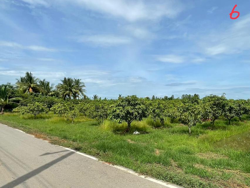 ขายด่วนที่ดินแปลงสวย 10 ไร่ 8