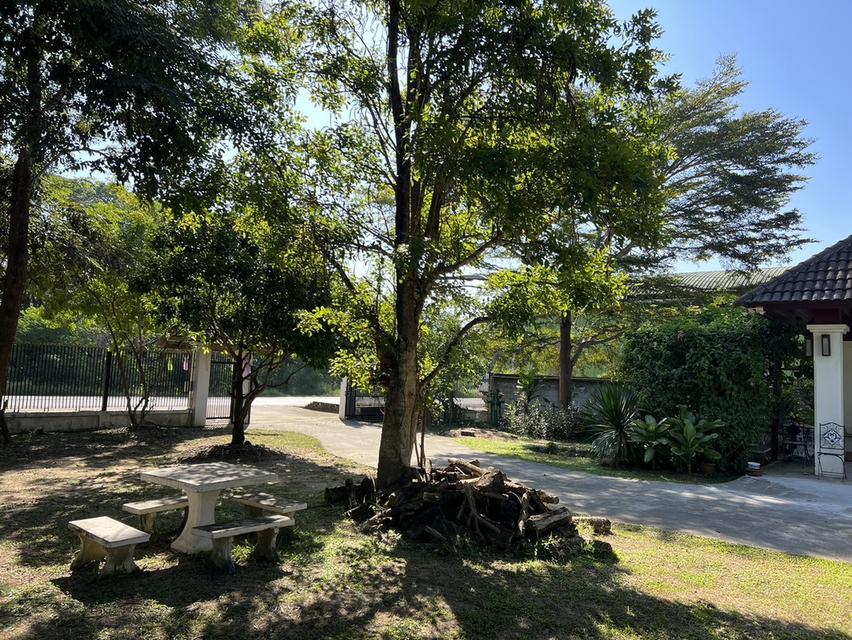 บ้านเดี่ยว ที่เชียงใหม่ อ.สันกำแพง 4