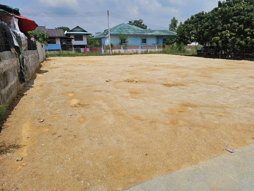 ขายที่ดินห้วยใหญ่ พัทยาถมแล้ว 120 ตรว. ติดถนน2ด้านซ.เขามะกอก13 ใกล้หาดจอมเทียน4กม. อ.บางละมุง ชลบุรี