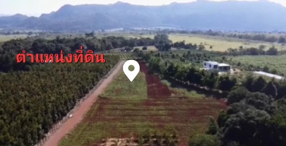 ที่ดิน