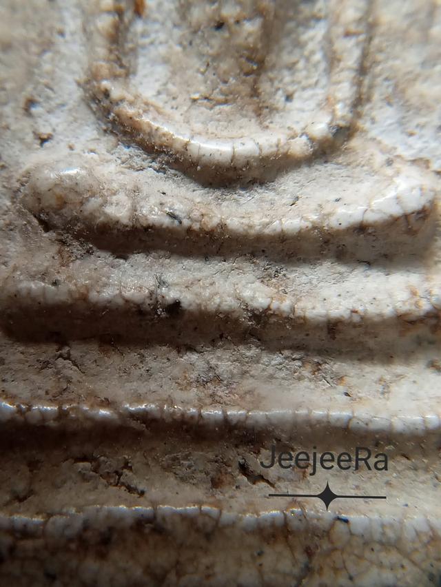 พระสมเด็จวัดระฆังพิมพ์ใหญ่ 6