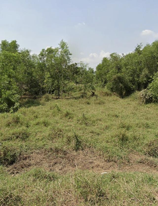ที่ดินเปล่าหนองจอก1ไร่ 3
