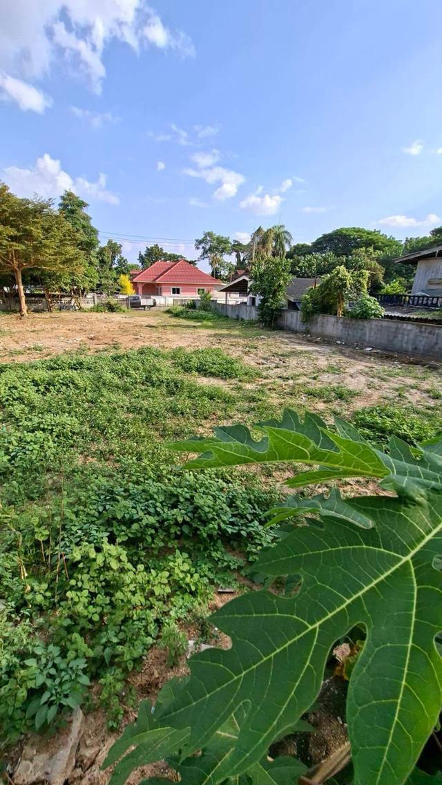 ที่ดินทำเลดี ต.น้ำแพร่ อ.หางดง จ.เชียงใหม่ 4