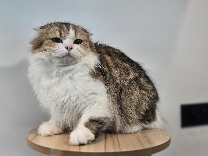 ปล่อยคุณแม่ หมันแล้ว อายุ 2 ปี 7