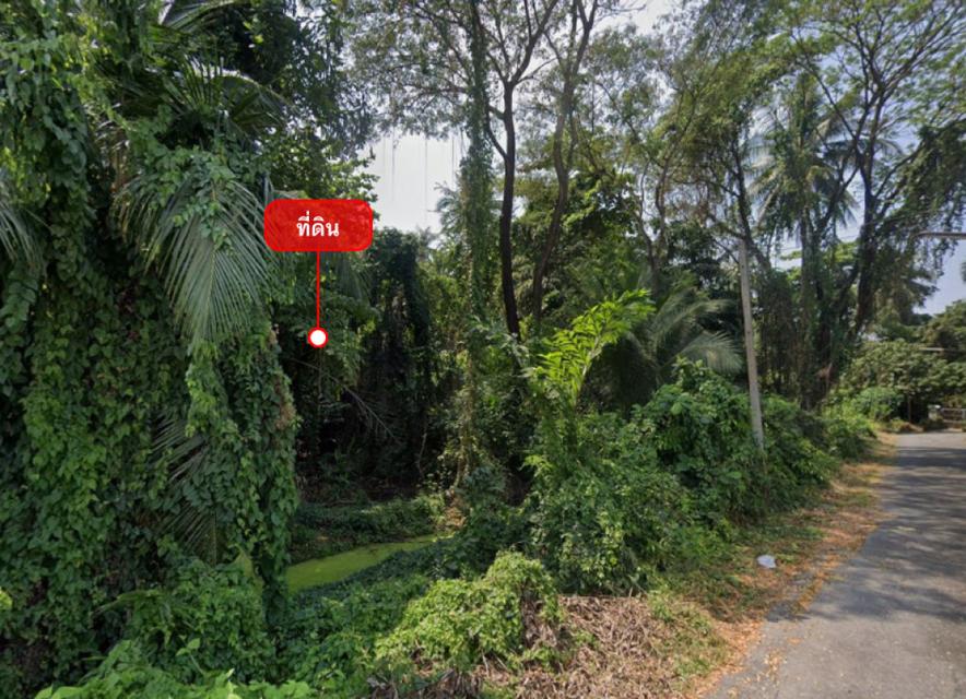 ขายที่ดิน 1-2-65 ไร่ ใกล้ รร.นายร้อยตำรวจสามพราน และวัดสามพราน (พุทโธภาวนา) 1