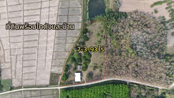 ขายที่ดินเปล่าพร้อมสิ่งปลูกสร้าง ทำเลบ้านจำปู ต.เจริญเมือง อ.พาน จ.เชียงราย โทร 081-0321111 3