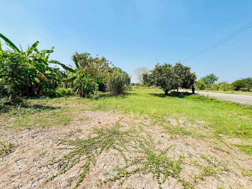 ที่ดิน พร้อมบ้านเดี่ยว 2 ชั้น ถนนรังสิต-นครนายก ตำบลบึงน้ำรักษ์ อำเภอธัญบุรี จังหวัดปทุมธานี 8