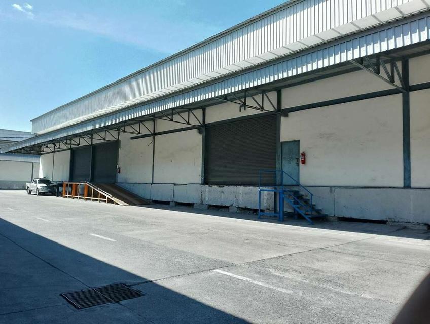 🏭Warehouse For Rent Tamru Samutprakarn Near Suvarnabhumi Airport [Usable area 1,800 sq.m.] 🏭ให้เช่า โกดัง/คลังสินค้า 📌ตำหรุ บางพลี  2