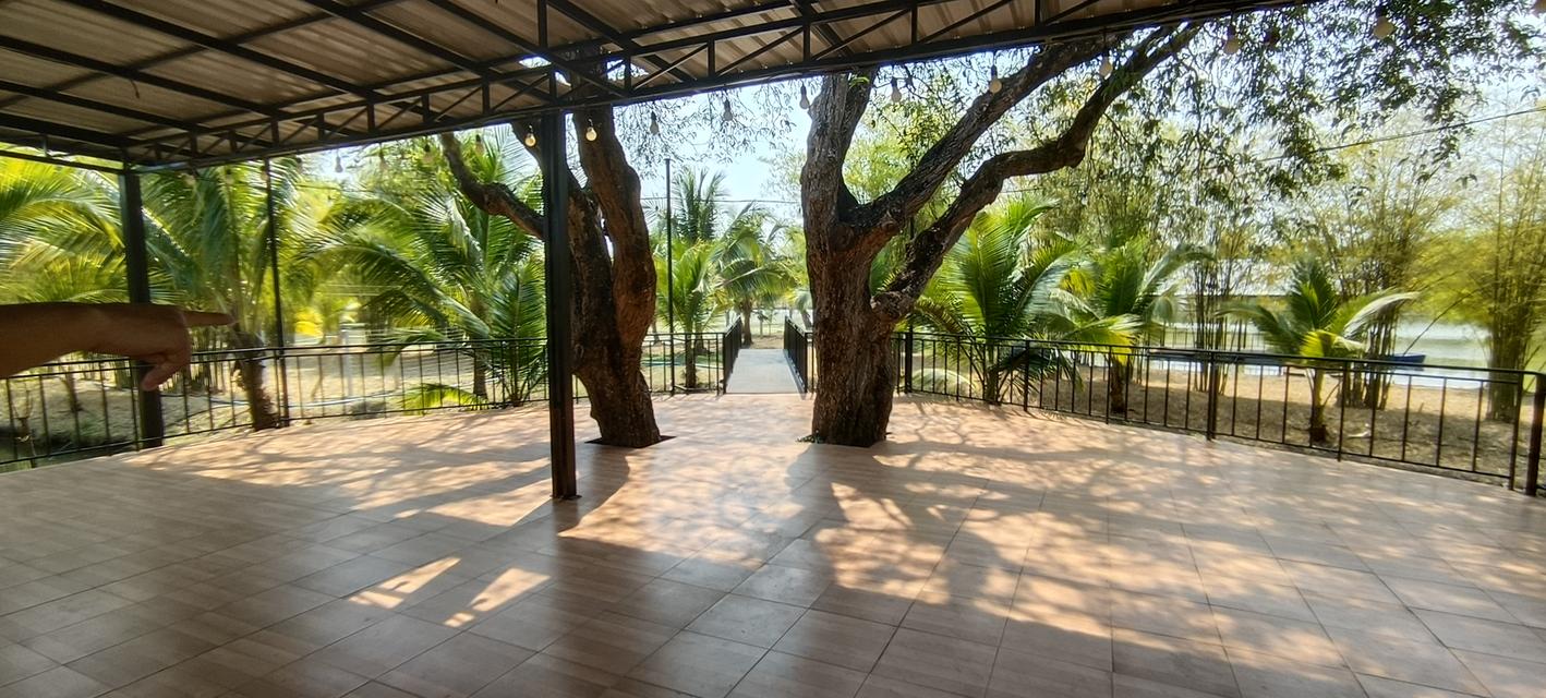 บ้านสวนพร้อมที่ดินสวย 15