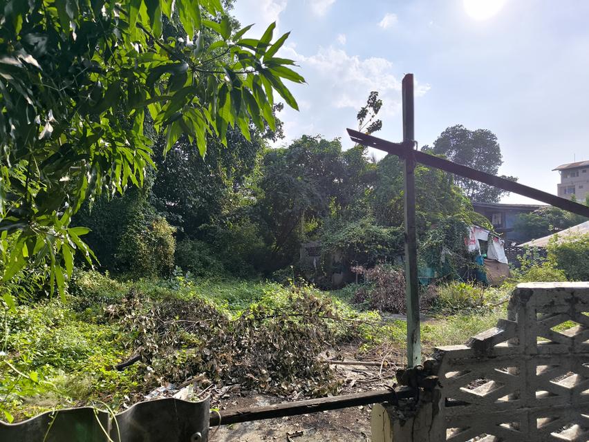 ที่ดินติดรถไฟฟ้าศรีนครินทร์สายสีเขียว 5