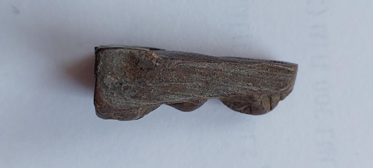 พระผงสุพรรณ. พิมพ์หน้าหนุ่ม รูปที่ 5