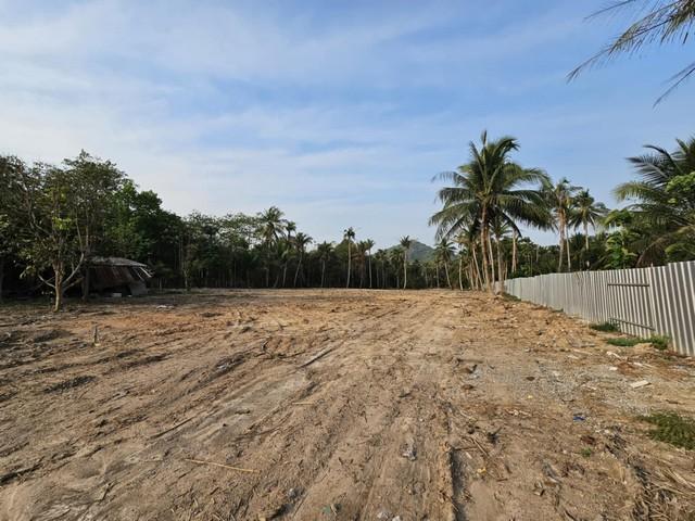 ขายที่ดินหนองขามเนื้อที่ 7 ไร่ ซอยเขาตะแบก-มาบบอน ใกล้นิคมปิ่นทองและถนน331-2กม. อ.ศรีราชา ชลบุรี 5