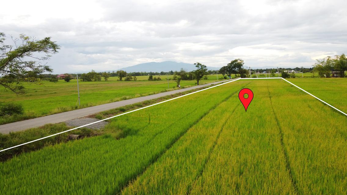 🌄 ขายที่ดิน 2-3-49 ไร่ น้ำ-ไฟ-เน็ตพร้อม หน้ากว้างติดถนนสุดๆ 6