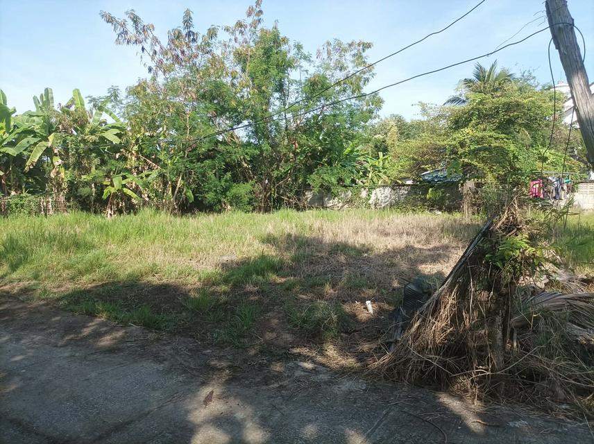 ขายที่ดิน 110ตร.ว. ต.ป่าป้อง อ.ดอนสะเก็ด จ.เชียงใหม่ 1