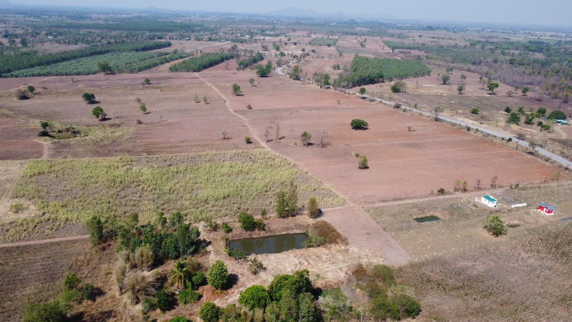 ที่ดิน ชนแดน เพชรบูรณ์ ขนาด 2 ไร่ 50 ตรวา 380,000 บาท  10