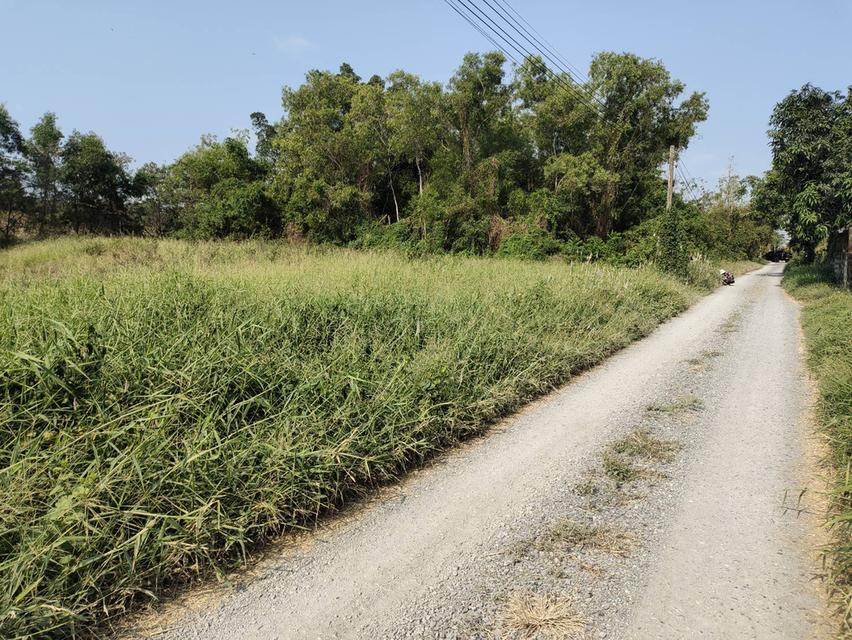 ที่ดิน1ไร่คลองห้าชอยคลองห้าตะวันออก9 2