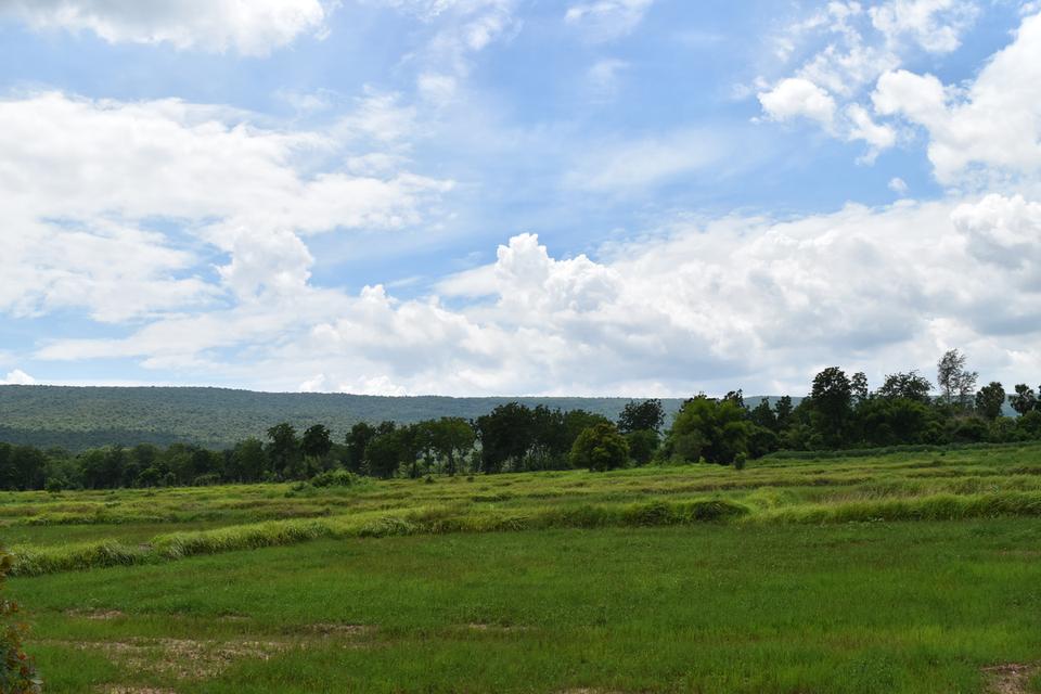 ขายที่ดินลพบุรี ตำบลเพนียด อำเภอโคกสำโรง 5