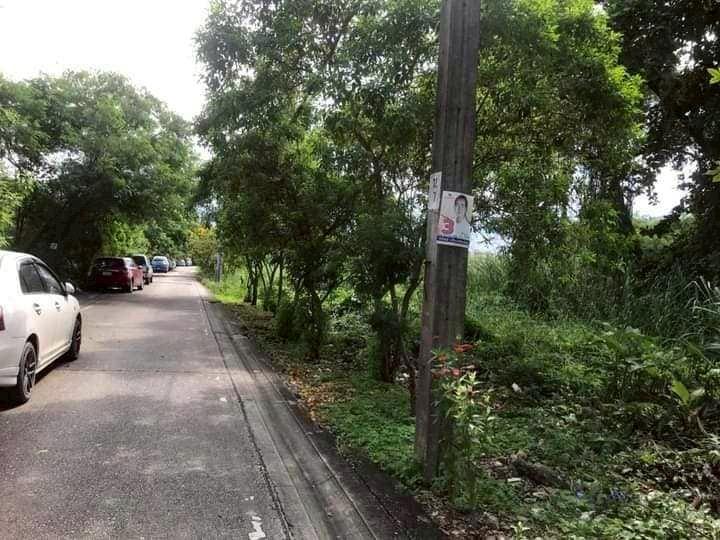 ที่ดิน 2