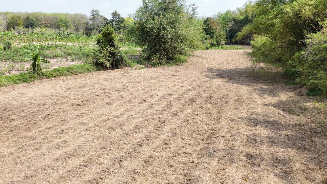 ขายที่ดินเปล่า 4-2-50 ไร่ ทำเลศักยภาพ ติดคลองกระเฉท น้ำไหลตลอดปี ใกล้นิคมอุตสาหกรรม ต.มาบข่า ระยอง 7