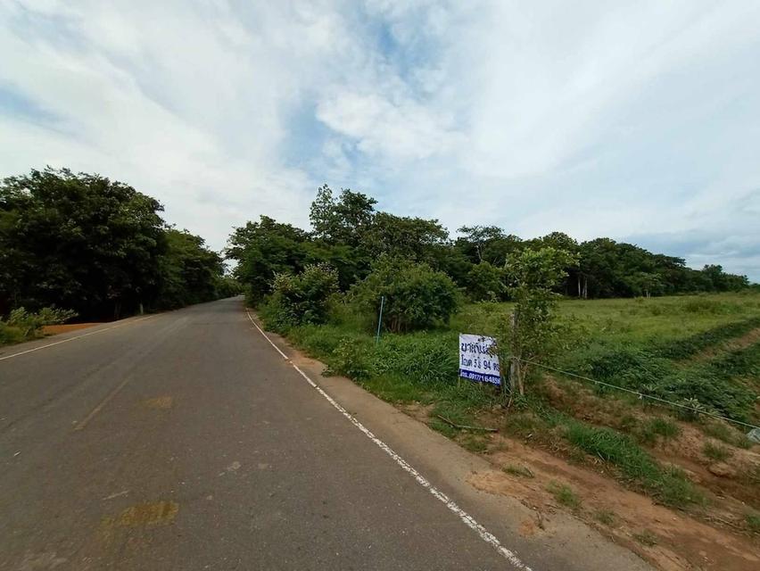 ขายที่โฉนด 5 ไร่ 94 ตรว. ห่างอำเภอเมืองกาญเพียง 20 กม. โทร. 0917716485 3