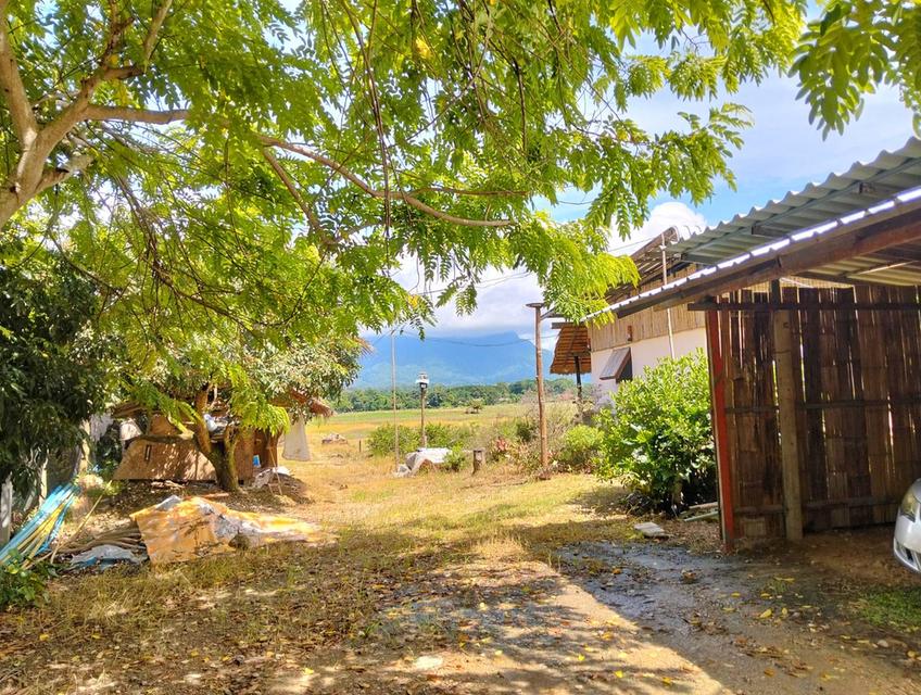 ขายที่ดินวิวดอยหลวงเชียงดาว – ทำเลทอง อ.เชียงดาว จ.เชียงใหม่ 3