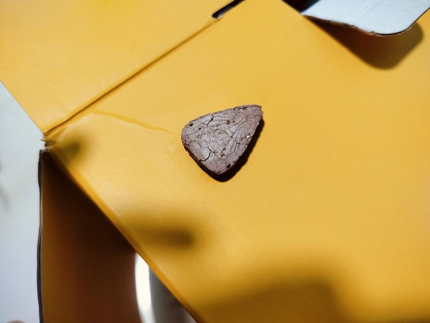 พุทโธน้อย แม่บุญเรือน