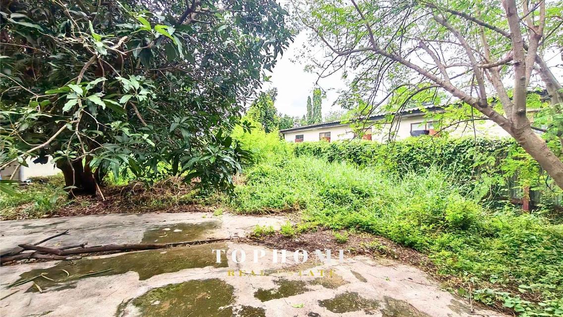 ขายด่วน❗️ ที่ดินพร้อมบ้าน ซอยชัยพฤกษ์ 18 ถมเเล้ว ใกล้ Central Pinklao 🏠ทำเลดี น่าลงทุน📌 5