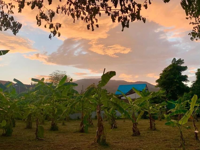 ขายที่ดินทำเลทอง! หมู่บ้านช่างทอง ต.สุเทพ อ.เมืองเชียงใหม่ ใกล้มหาวิทยาลัยเชียงใหม่ (หลัง มช.)