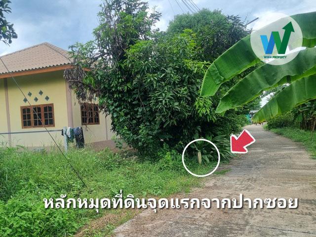 ขายที่ดินแปลงใหญ่ ศิลาดาน มโนรมย์ ชัยนาท 8ไร่ 2 งาน 49 ตร.ว. มีน้ำไฟพร้อม ใกล้ถนนพหลโยธิน 3