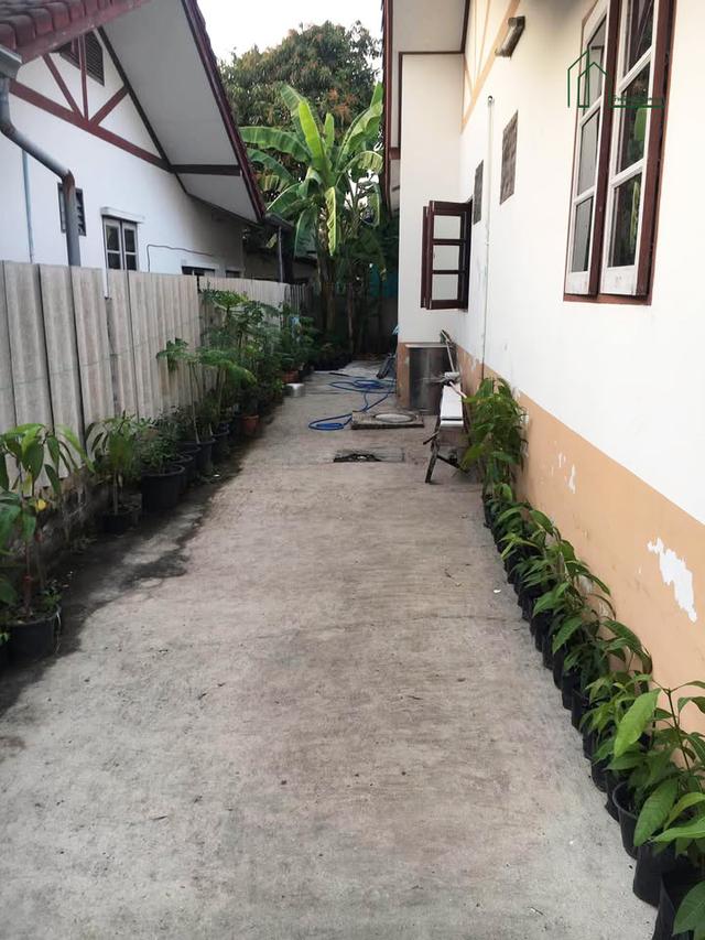 บ้านเดี่ยว ชั้นเดี่ยว หมู่บ้านมีนบุรีการ์เด้นโฮม ราษฎร์อุทิศ 48 มีนบุรี 9