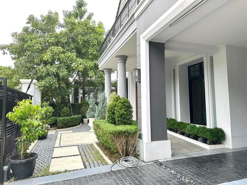 # ขายบ้านเดี่ยวหรู The Palazzo ปิ่นเกล้า | คฤหาสน์ 2 ชั้น พร้อมสระว่ายน้ำส่วนตัว | 403 ตร.ม. | เพียง 31.9 ล้านบาท 4